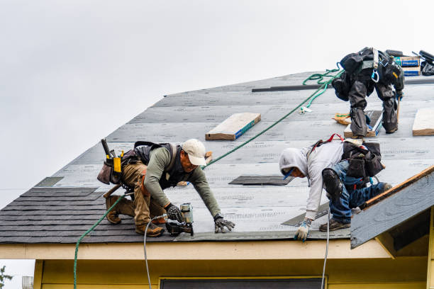 Professional Gutter Installation technician working in Kelford, NC